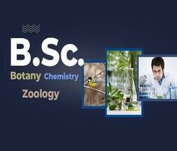 Bachelor of Science
